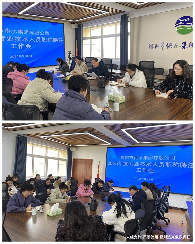 2025年度專業(yè)技術(shù)人員職稱聘任工作會